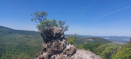 Vadálló-kövek