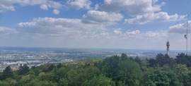 cserszomorce fotója