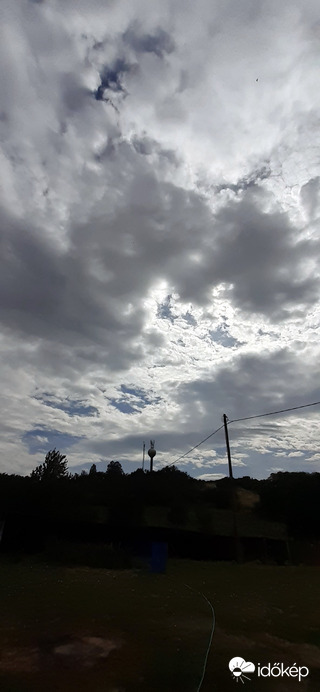 Mány