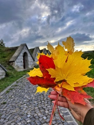 Hercegkút