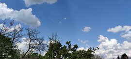 Gyula