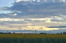 Vezseny