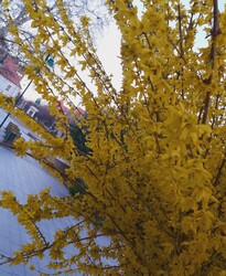 Szekszárd
