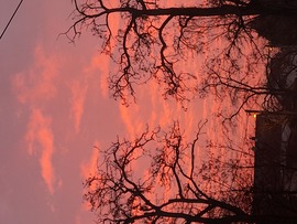 csillaniki fotója
