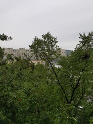Budapest III.ker - Óbuda