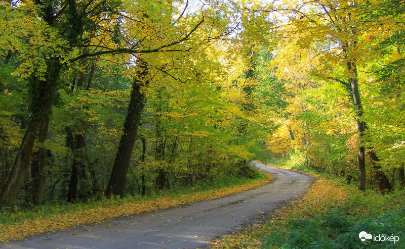 Őszi szinek. Csetény.