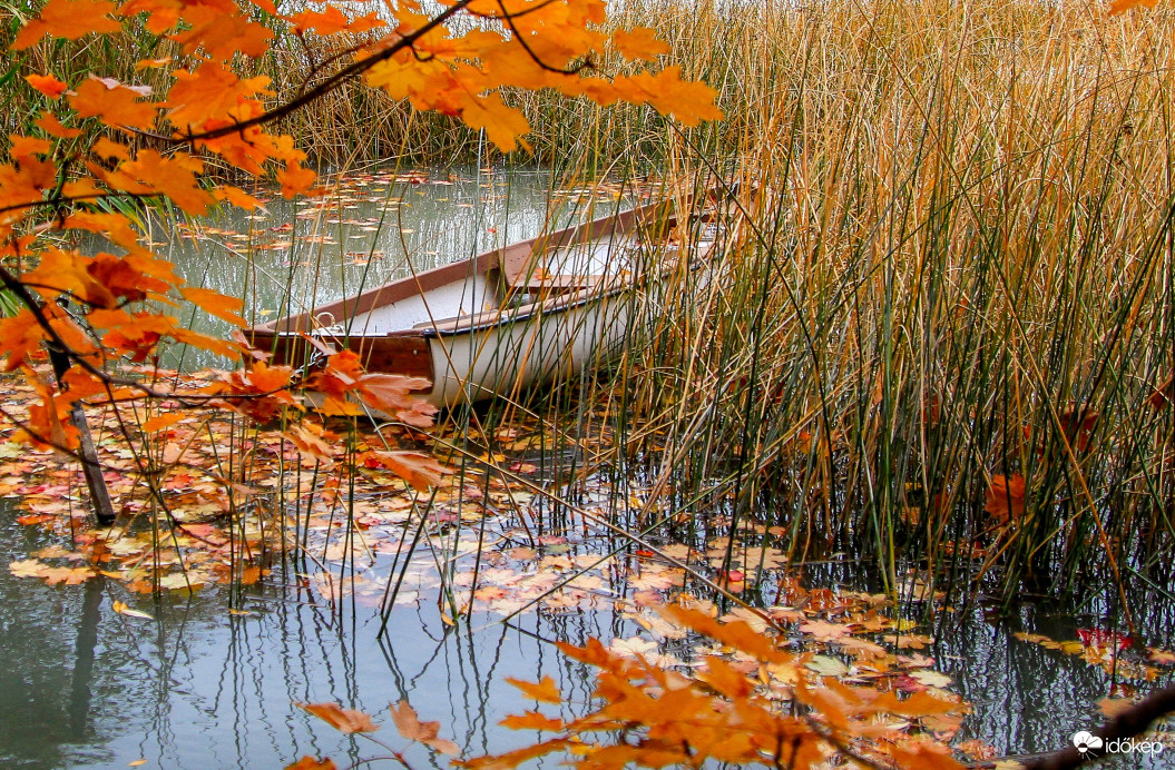 Balatoni csendélet.