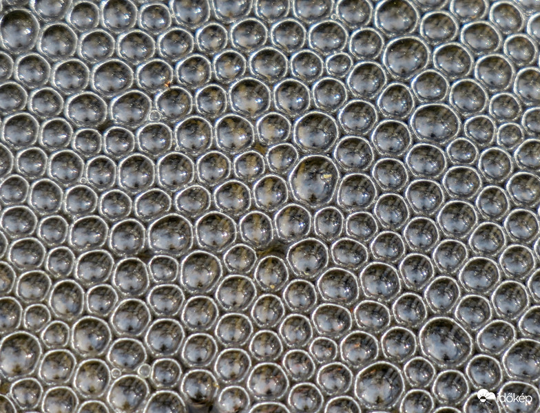 Csurgadozó patakban buborékok