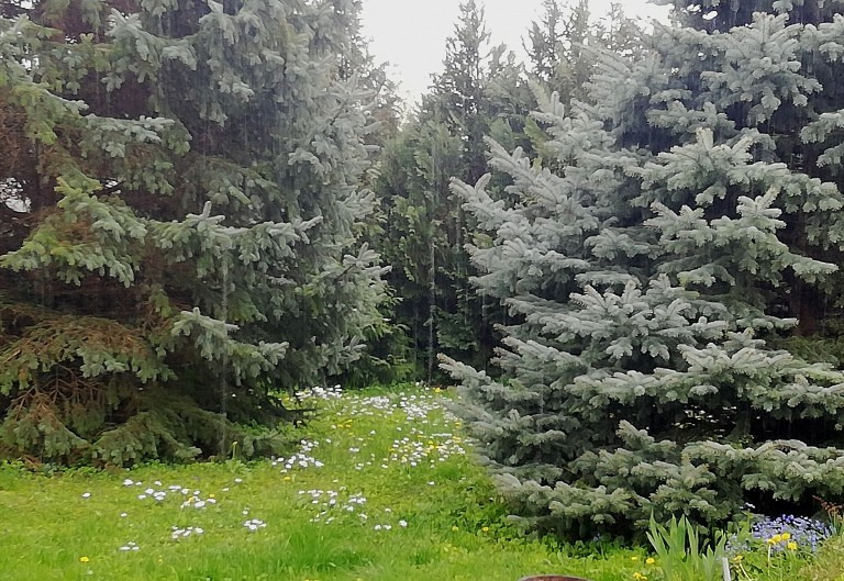 Polgárdi