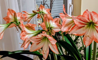 Semmi közük az időjáráshoz,