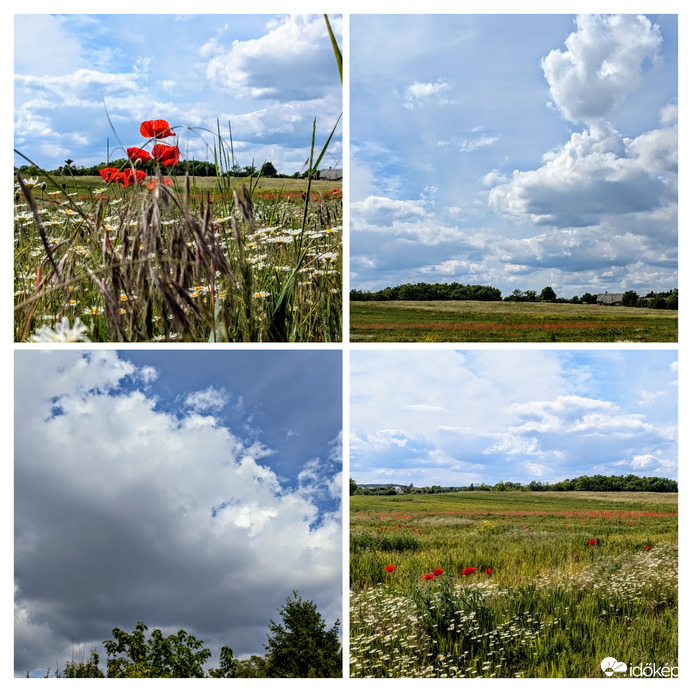 Polgárdi, nyárias délután 