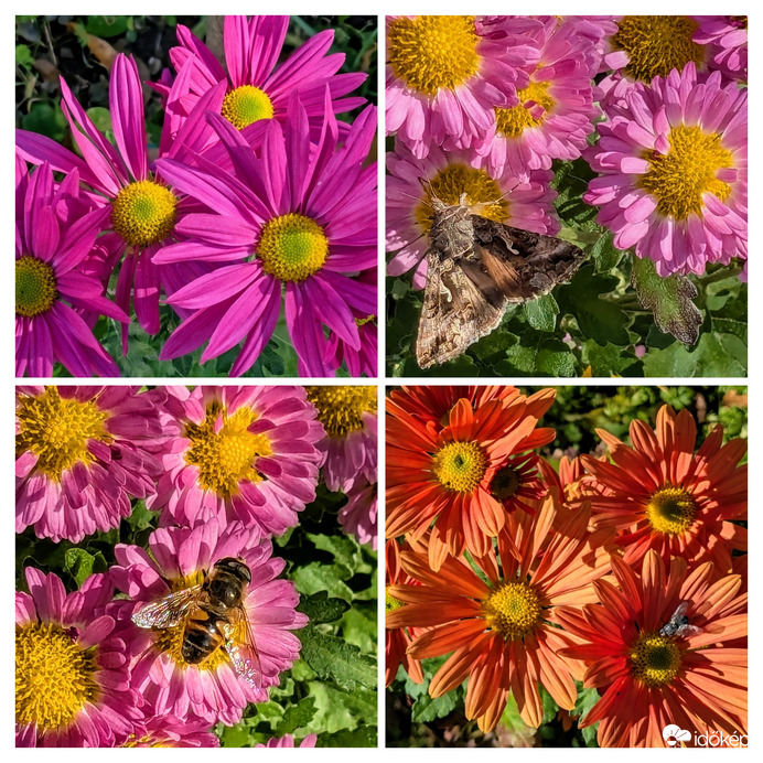 Polgárdi, ragyogó napsütés, 16 C