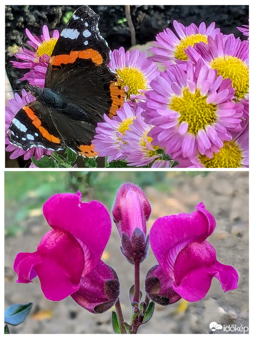 Polgárdi, ma is szép idő volt :)