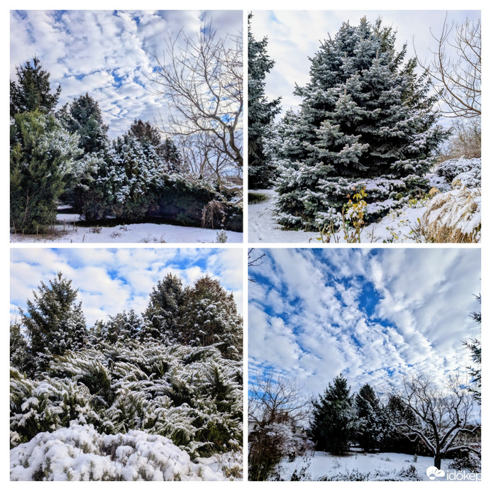 Polgárdi, kertem ma reggel :)