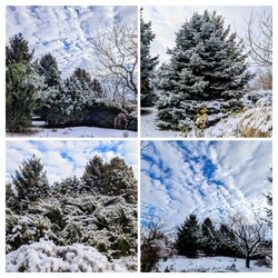 Polgárdi, kertem ma reggel :)