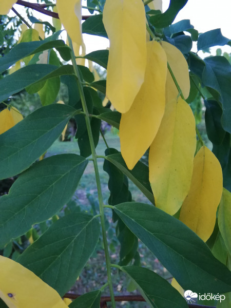 Egyik ilyen, másik olyan :) 