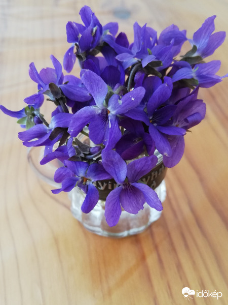 Novemberi ibolyacsokor :) 