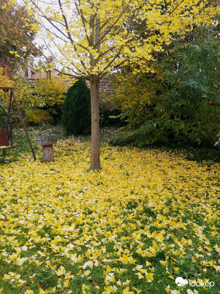 Levetette szép ruháit, Csendesen levetkezett;