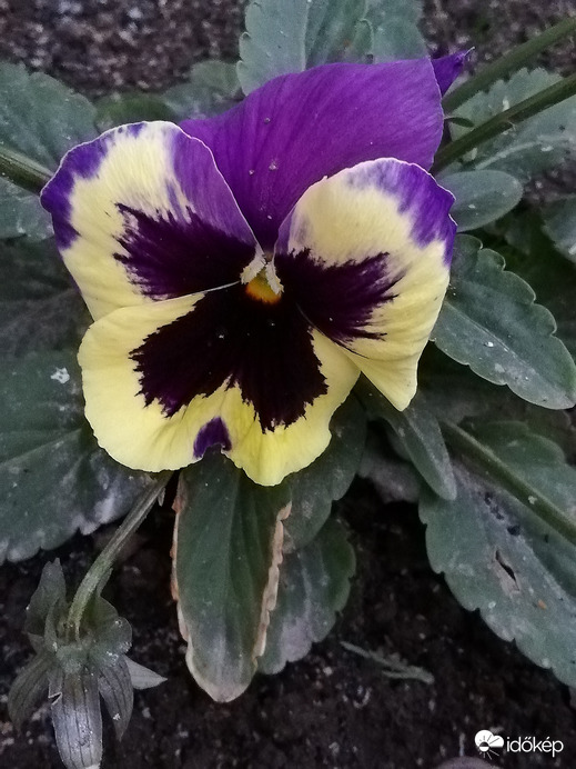 Elmúltak a kemény fagyok, 2022.02.05