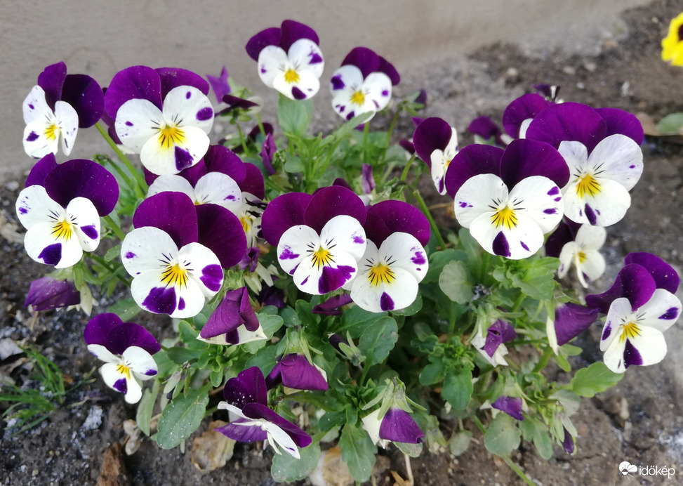 Mindenki erre néz! :)) 