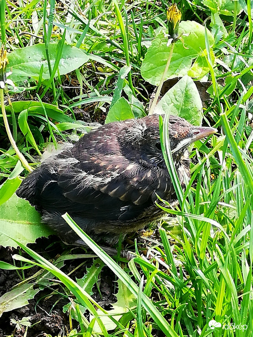 Elbújtam, mert még félek egy kicsit... 