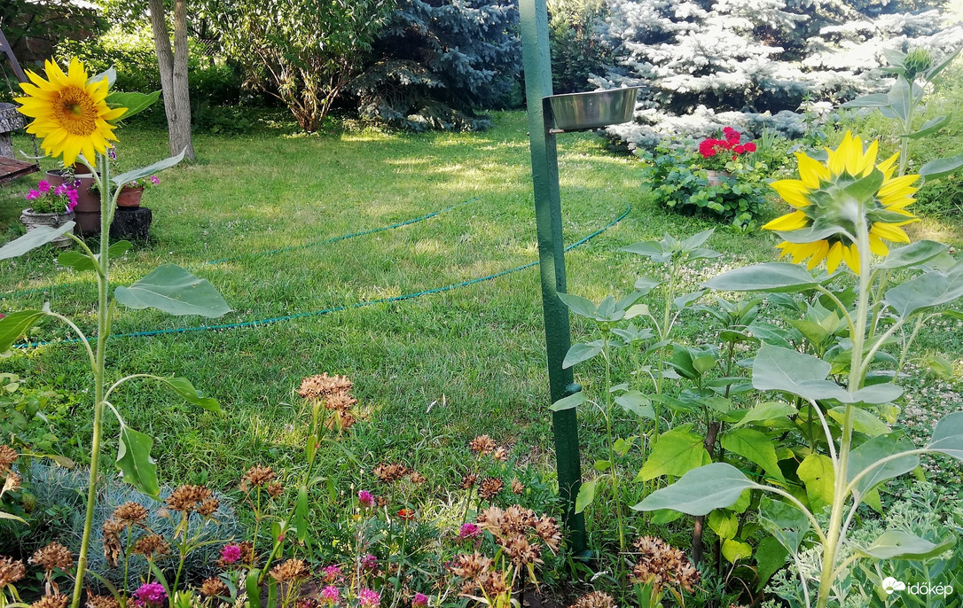 Most akkor merre kell forogni? :)) 