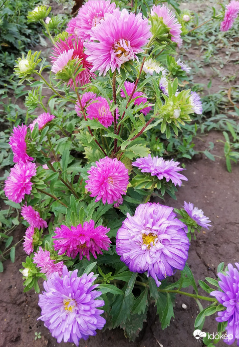 Eddig csak kókadoztak.... :) 