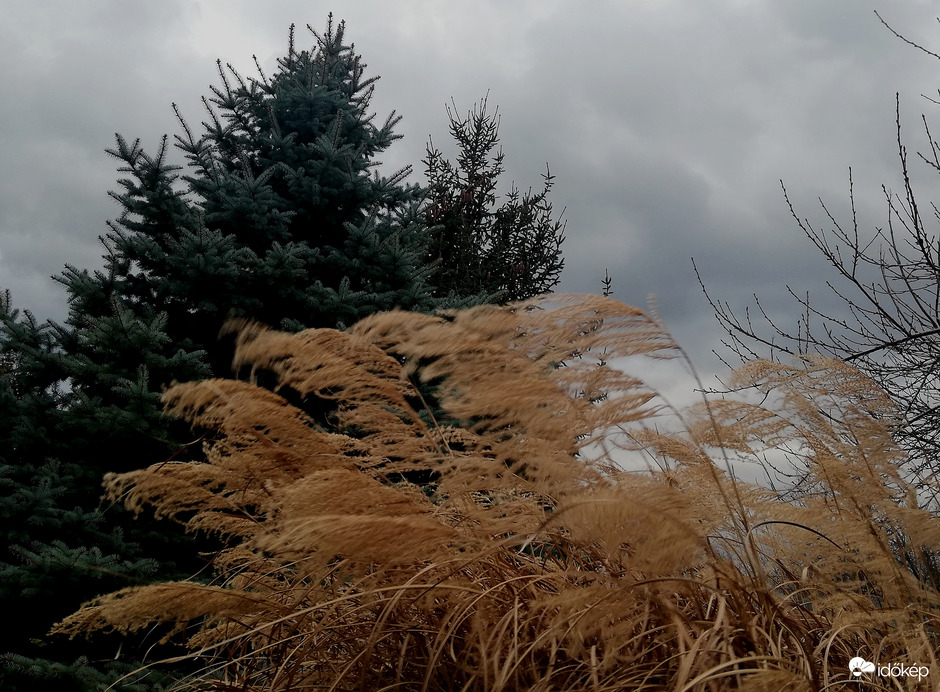Polgárdi, jogos a piros. Tombol! 