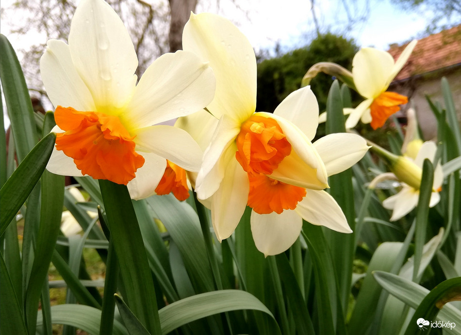 Egymásba gabalyodva :) 