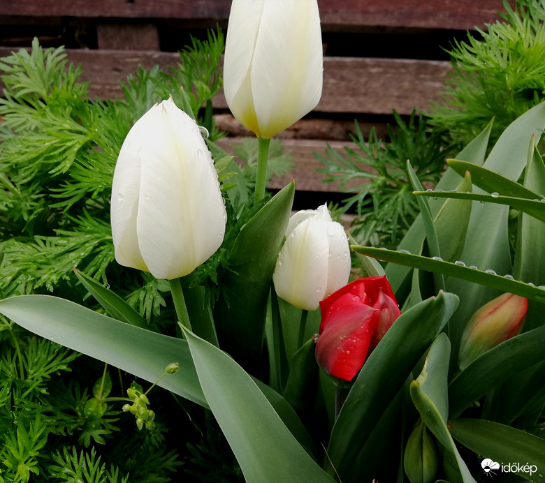 Csak eső volt, szerencsére :) 