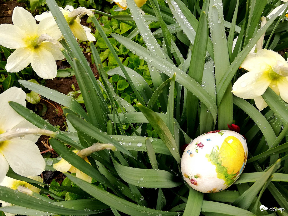 Polgárdi, egész nap eseget... 