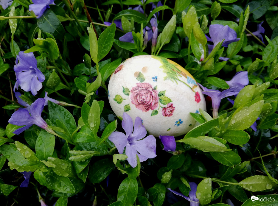 Kellemes Húsvétot Kívánok Mindenkinek! 