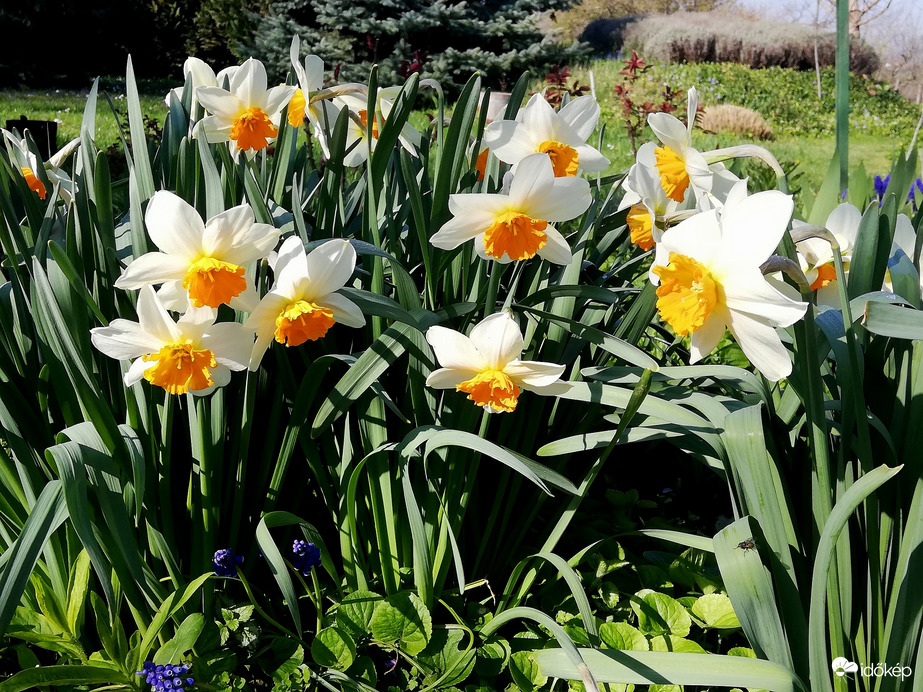 Végre szép idő! :) 