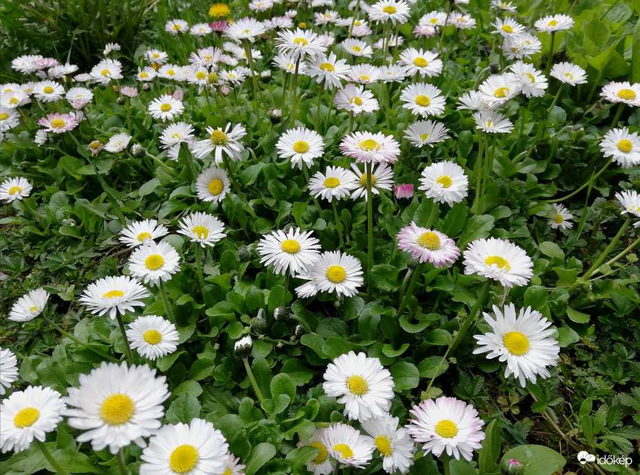 Borongós időben is :) 