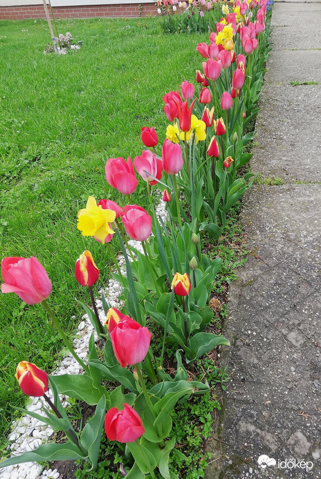 Polgárdi színes :) 