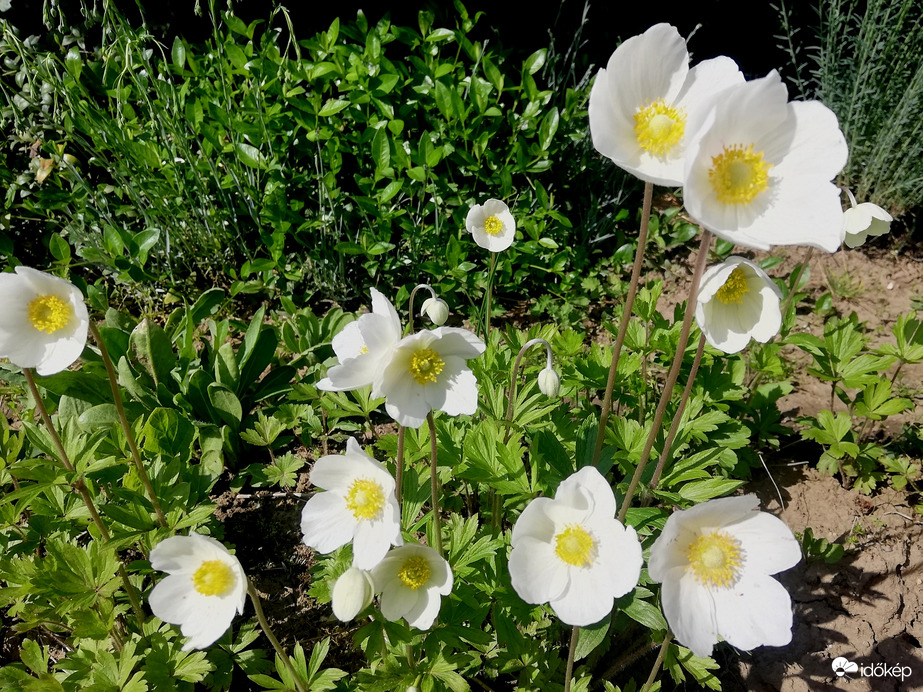 Az első szellők :) 