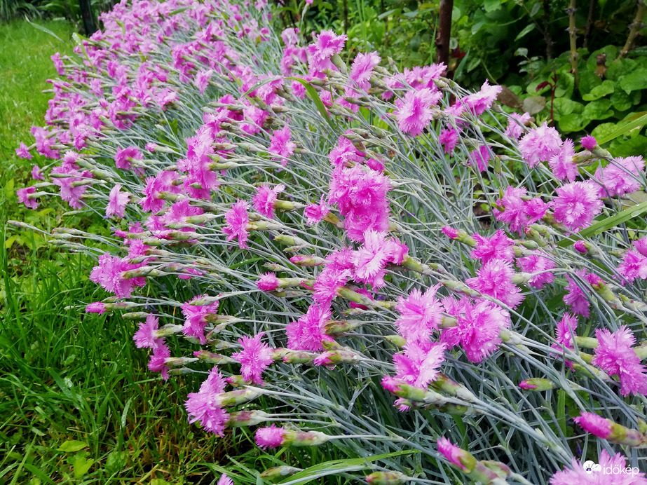 Reméljük holnap fel tudunk állni! :(