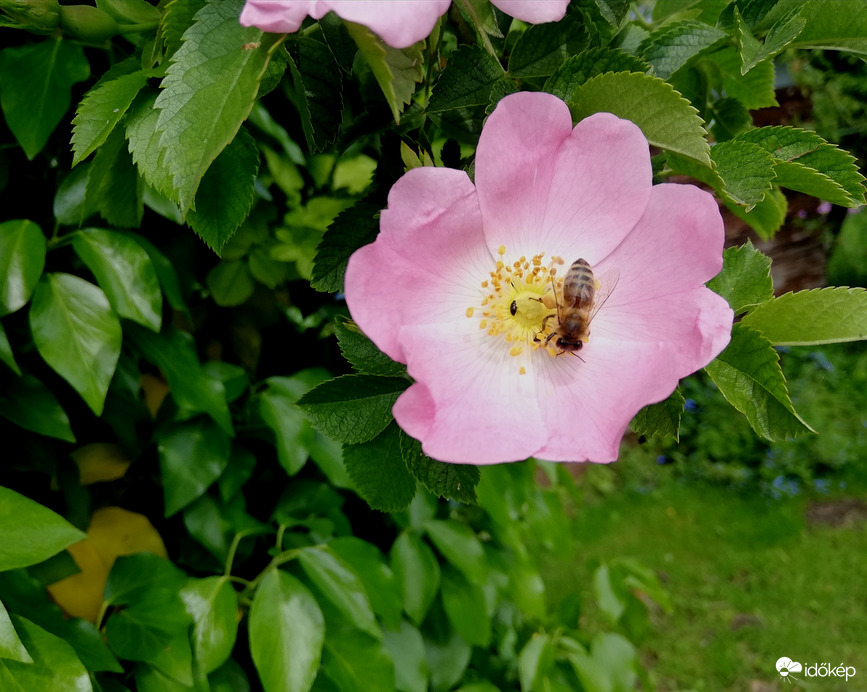 Végre lehet dolgozni! :) 