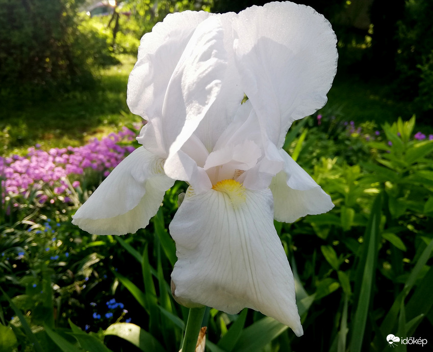 Kora reggeli napfényben :) 