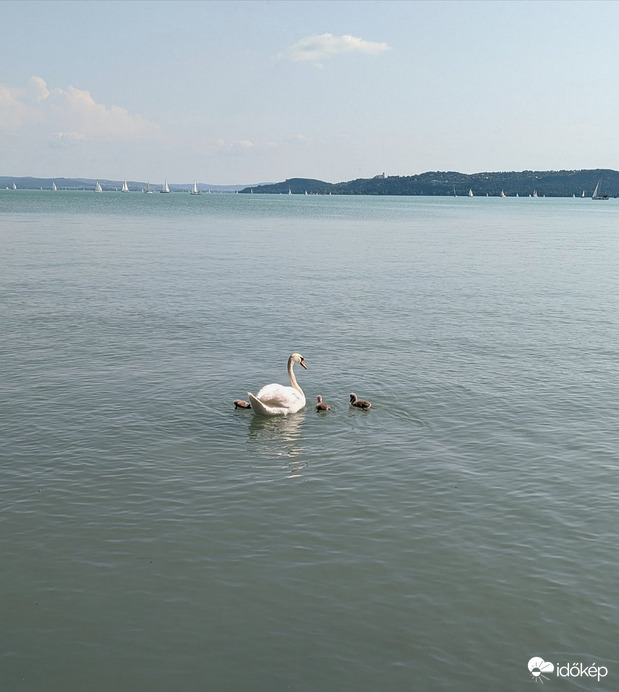 Kis család, nagy vízben :) 