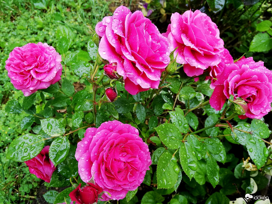 Esővel indult a Vasárnap, 