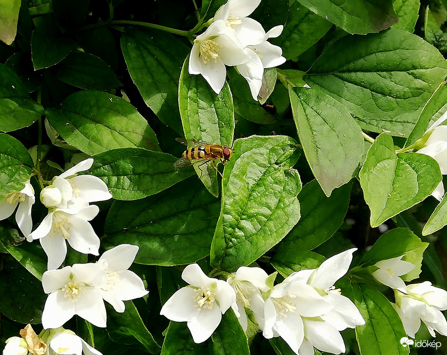 Még a zuhé előtt :) 2