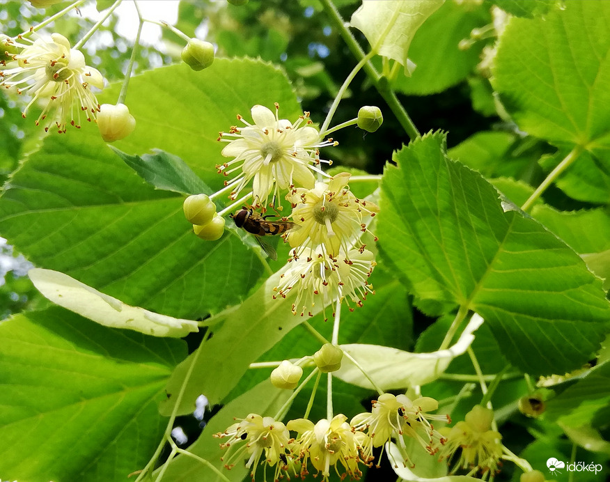 Még a zuhé előtt :) 