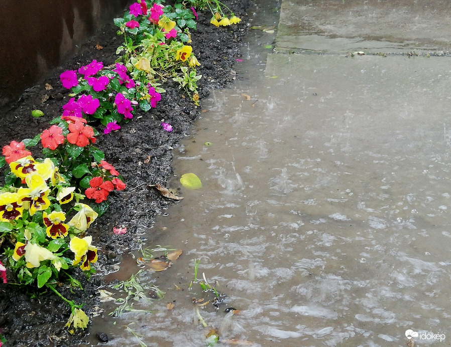 Polgárdi, rövid idő alatt 20 mm, 