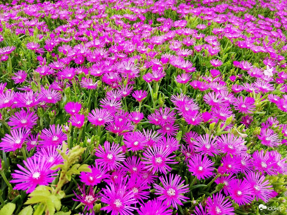 Erősen felhős időben :) 