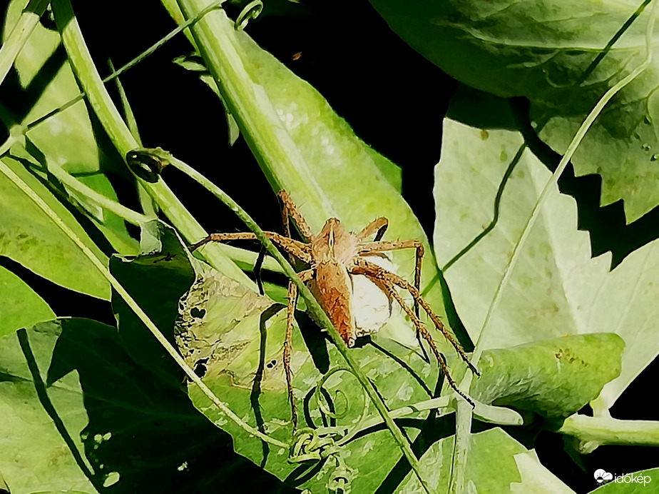 Vigyázat, gyerekekkel vagyok! :) 