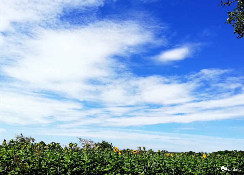 Polgárdi, szép idő, éjjel 12 mm esett, 