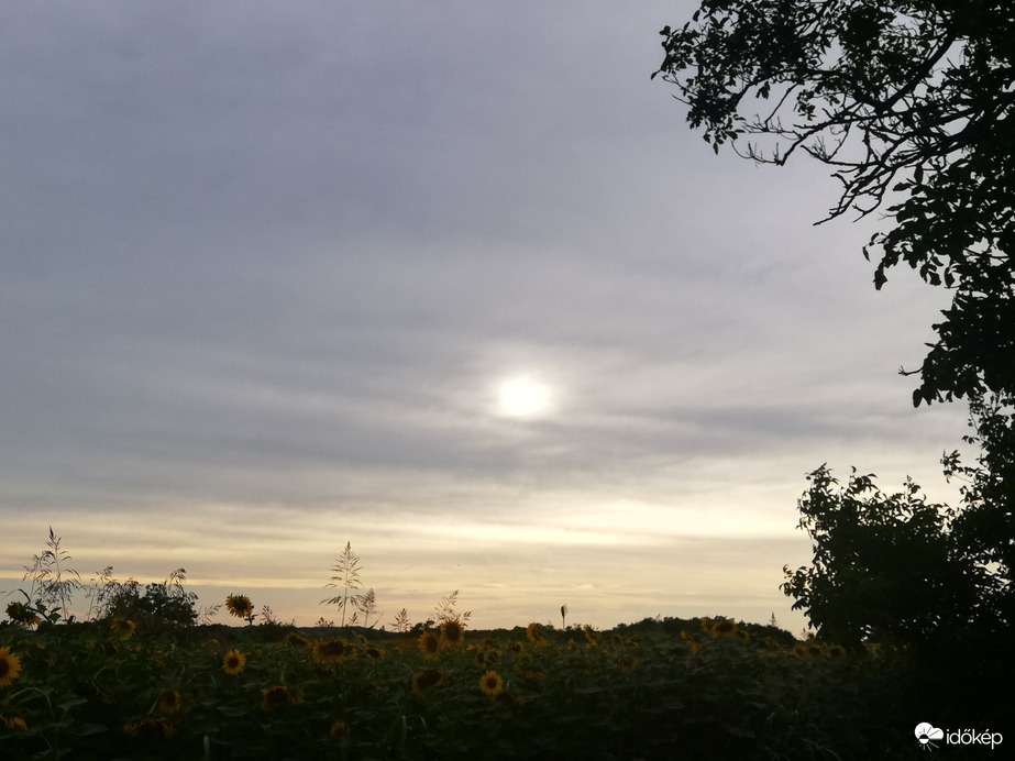 Polgárdi, borult, élénk szél, frissül a levegő 