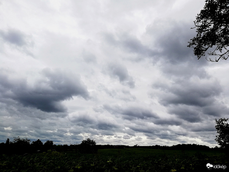 Polgárdi szeles, hűvös, őszies idő 