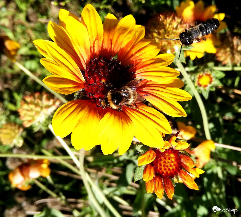 Ismét napsütésben :) 